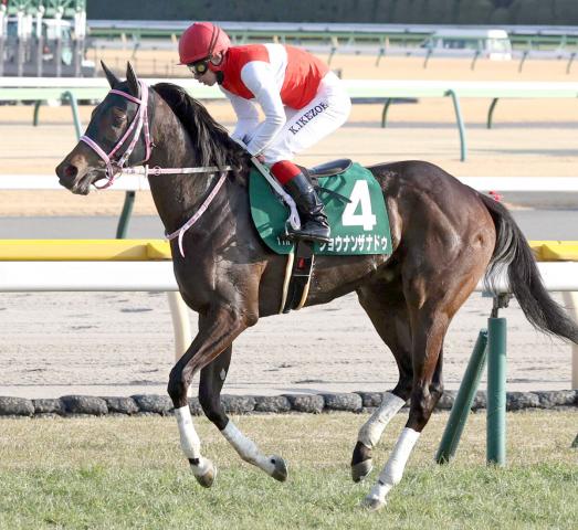 【クイーンC】2番人気のショウナンザナドゥは直線伸びず9着　池添謙一騎手「ヘロヘロになっていました」