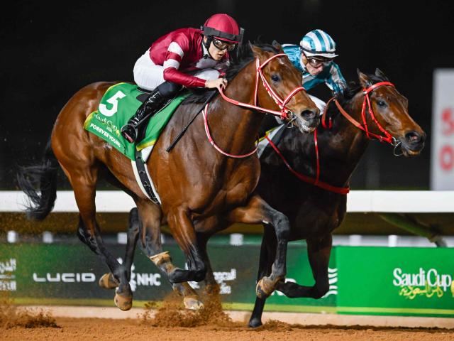サウジC結果】フォーエバーヤングが海外GI初制覇！ ロマンチック