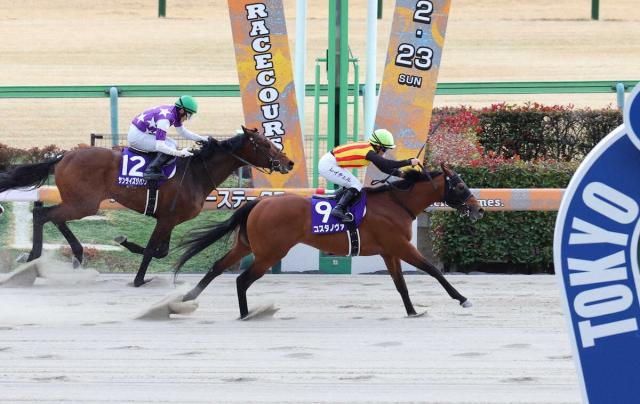 【フェブラリーS】コスタノヴァV!2→5→1番人気で3連単1万3510円