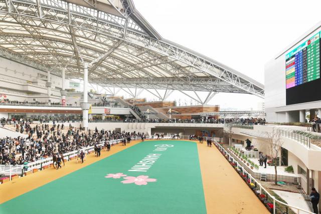 「シン・阪神競馬場」リニューアルオープン大好評「きれい。レース見やすい」「宮っ子ラーメンが入ってる」