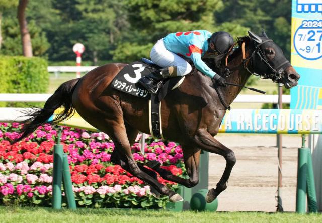 【中山牝馬S　展望】シンティレーションが重賞連勝で有終の美を