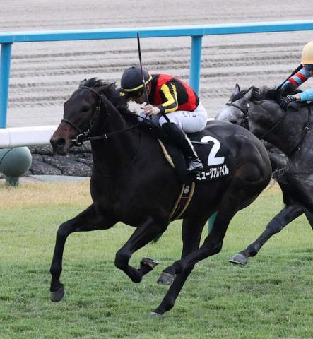 メイクデビュー中京 エムズ 現地単勝馬券＆応援馬券 計2枚 (終了