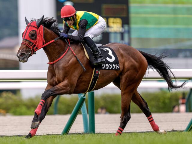 【中山牝馬S予想】父サンデー系とミスプロ系に良績が集中！ 父ノーザンダンサー系は前走のレース格や着順に注意