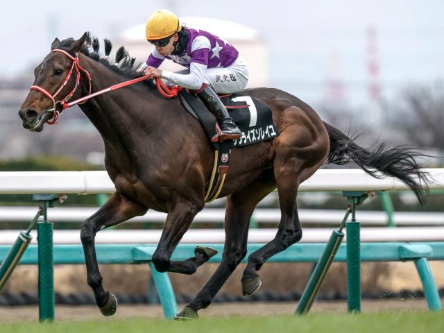 スプリンターズS】ナムラクレアは終始外を回らされての5着