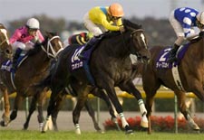 ウオッカは4枠7番/天皇賞・秋枠順確定