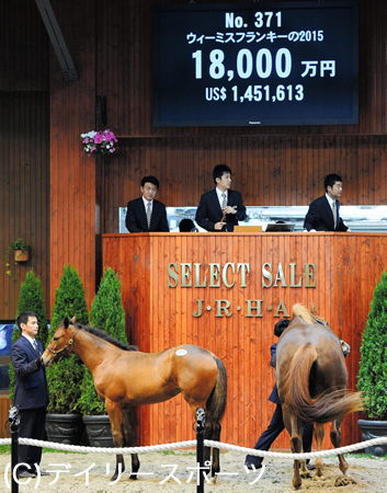 野田順弘会長は落札した仔馬のデビューを心待ち「競馬はロマン」/セレクトセール