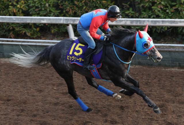 【高松宮記念】Bコース&内枠がビッグシーザー後押しだ!