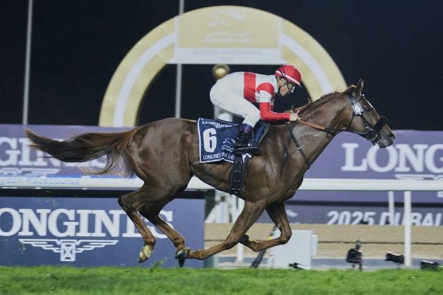 ドバイシーマクラシック速報】ダノンデサイルが優勝！ | 競馬