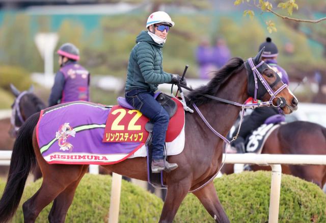 JRA 競馬 馬写真（額入り） 満花