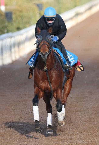 オオバンブルマイ　津村との新コンビで5・3京王杯SCへ