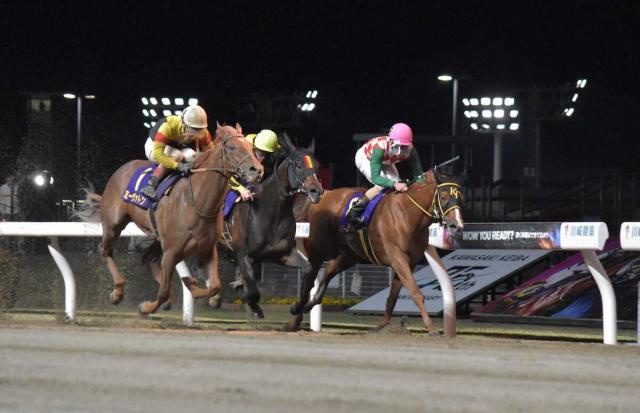 【川崎競馬　クラウンC】7番人気ミーヴァトンが重賞初V　佐藤博師も初タイトル　堂々東京ダービーへ