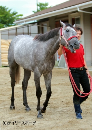 レンイングランド甲斐助手 もともとスタートはすごく速い馬 アイビスsd 競馬ニュース Netkeiba Com