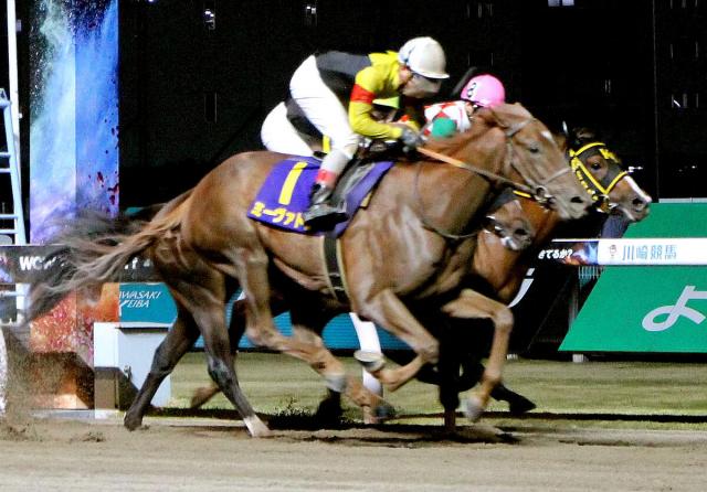 クラウンCはブービー人気ミーヴァトンが優勝　川崎競馬