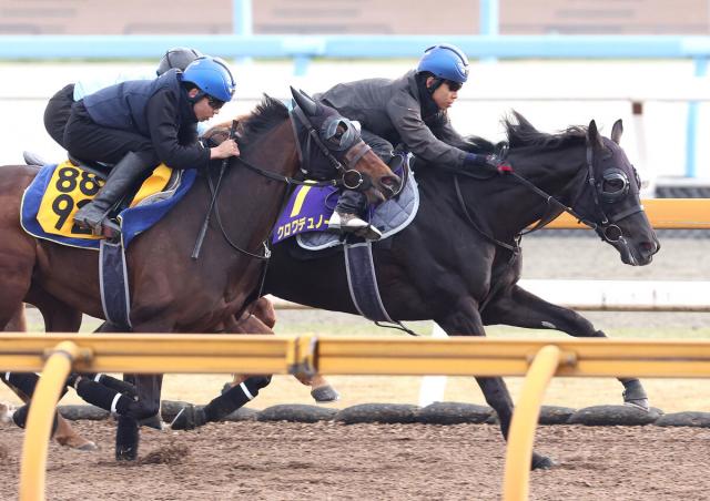 【皐月賞1週前】クロワデュノールがラスト10秒9　北村友一騎手「がらっと変わった」