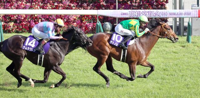 サトノレーヴが香港最強カーインライジングと再戦へ　香港チャンピオンズデー出走馬発表
