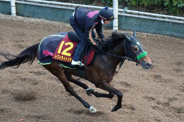 【桜花賞】トワイライトシティ　坂路馬なり4F55秒9　杉山晴師満足げ「イメージ通りの時計」