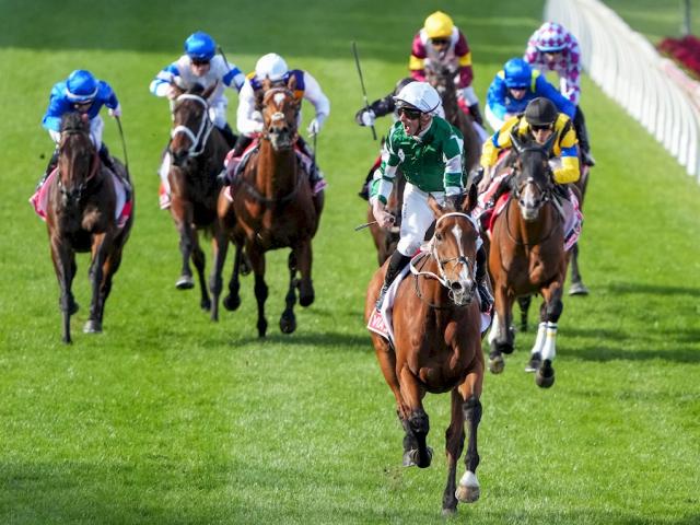 【クイーンエリザベスS】G1・8勝の“豪州現役最強牝馬”が参戦 再び日本馬を打ち負かすか