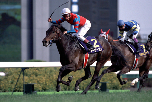 高松宮記念】枠順確定?ロードカナロアは6枠11番? | 競馬ニュース