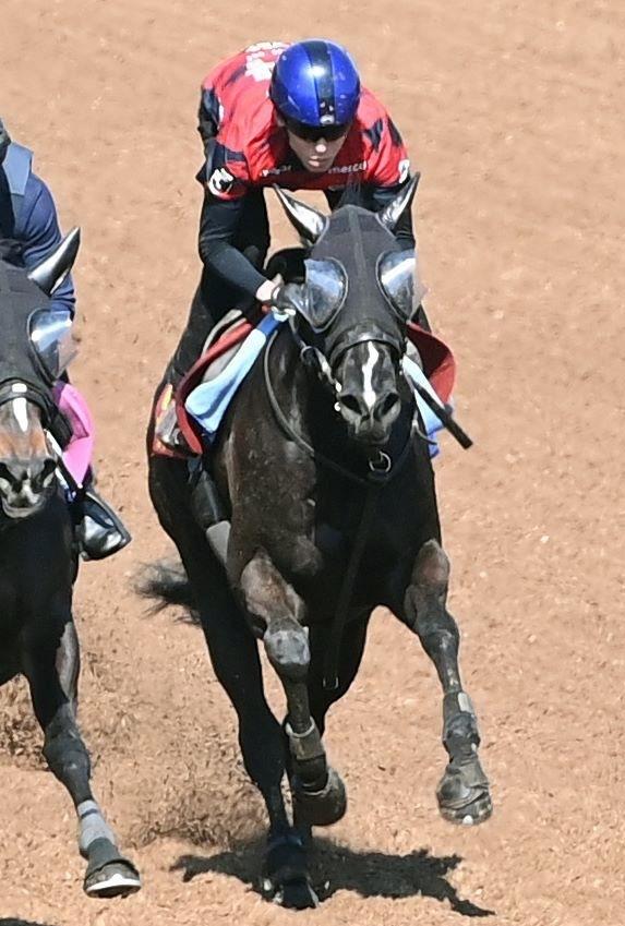 【桜花賞】プリムツァール　８枠１７番に好感触　蛯名正師「外でもそんなに関係ない」