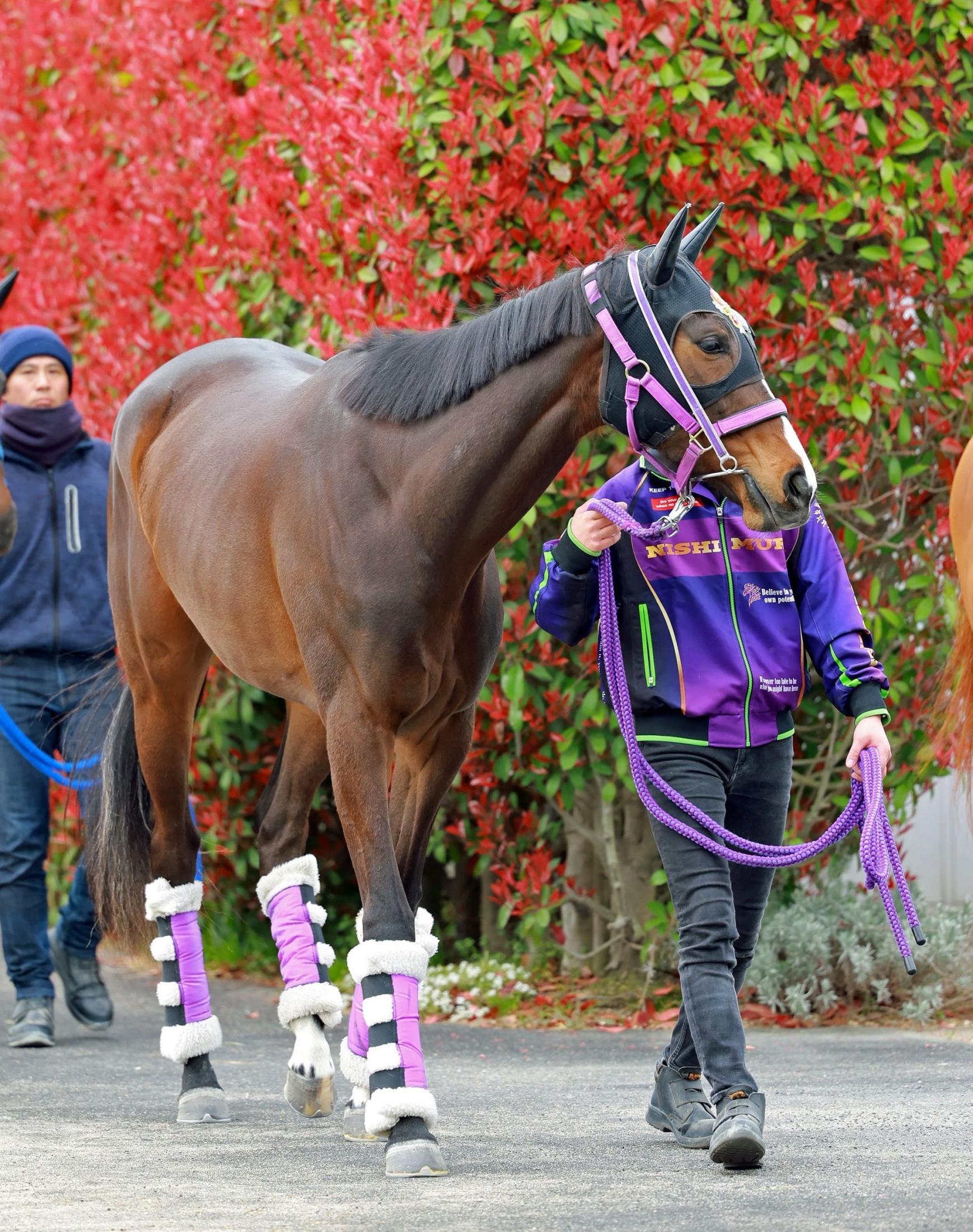 【桜花賞】リンクスティップ　状態文句なし　初のマイル戦も「十分に対応できる」
