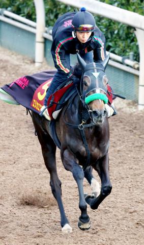 【桜花賞】2戦2勝のエリカエクスプレスは坂路を軽快　杉山晴調教師「追い切り後も良さそう」