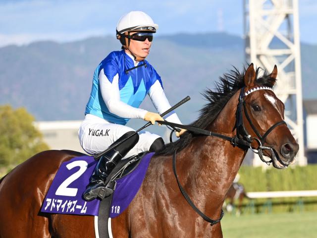 中山芝は内外フラット ニュージーランドTは地力勝負か