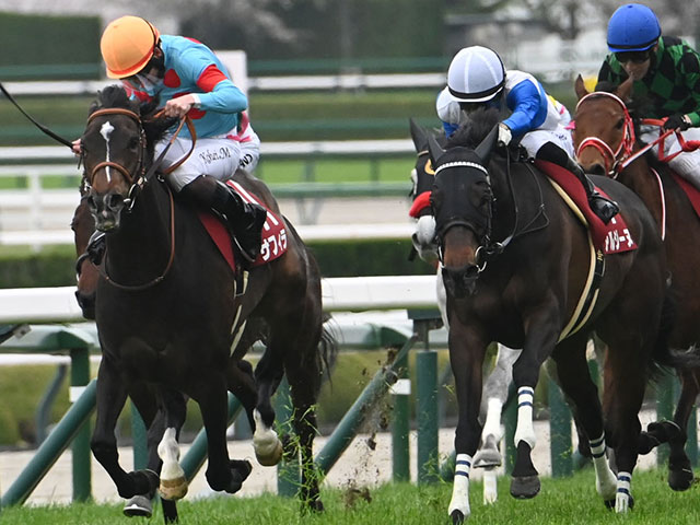 阪神牝馬S】格上挑戦の9番人気サフィラが桜舞う仁川で良血開花