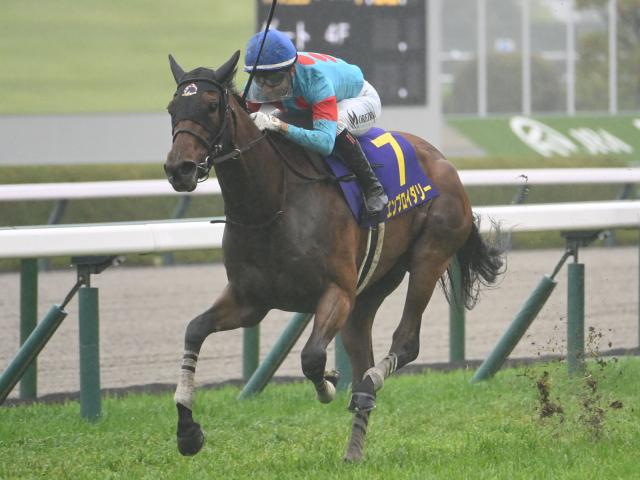 札幌記念結果】白毛ソダシが早め先頭から押し切り古馬を一蹴！重