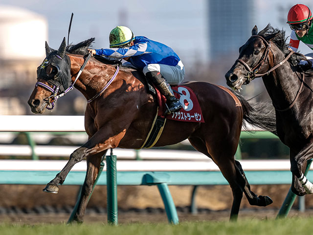 皐月賞】21頭の香港馬名・馬名意味を紹介！『草地法師』『玄小駒