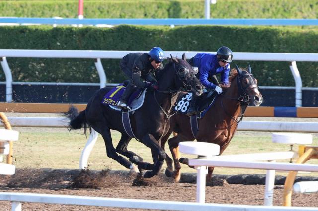 【皐月賞】クロワデュノール無敗1冠へ!　3馬身追走からキラリ11秒3併入「いい形で終えられた」
