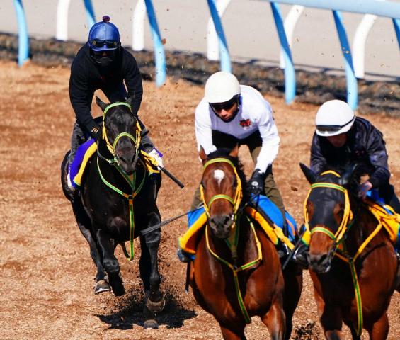 【皐月賞】フクノブルーレイク　強烈伸び併入10秒9　松岡「体も充実してきた」