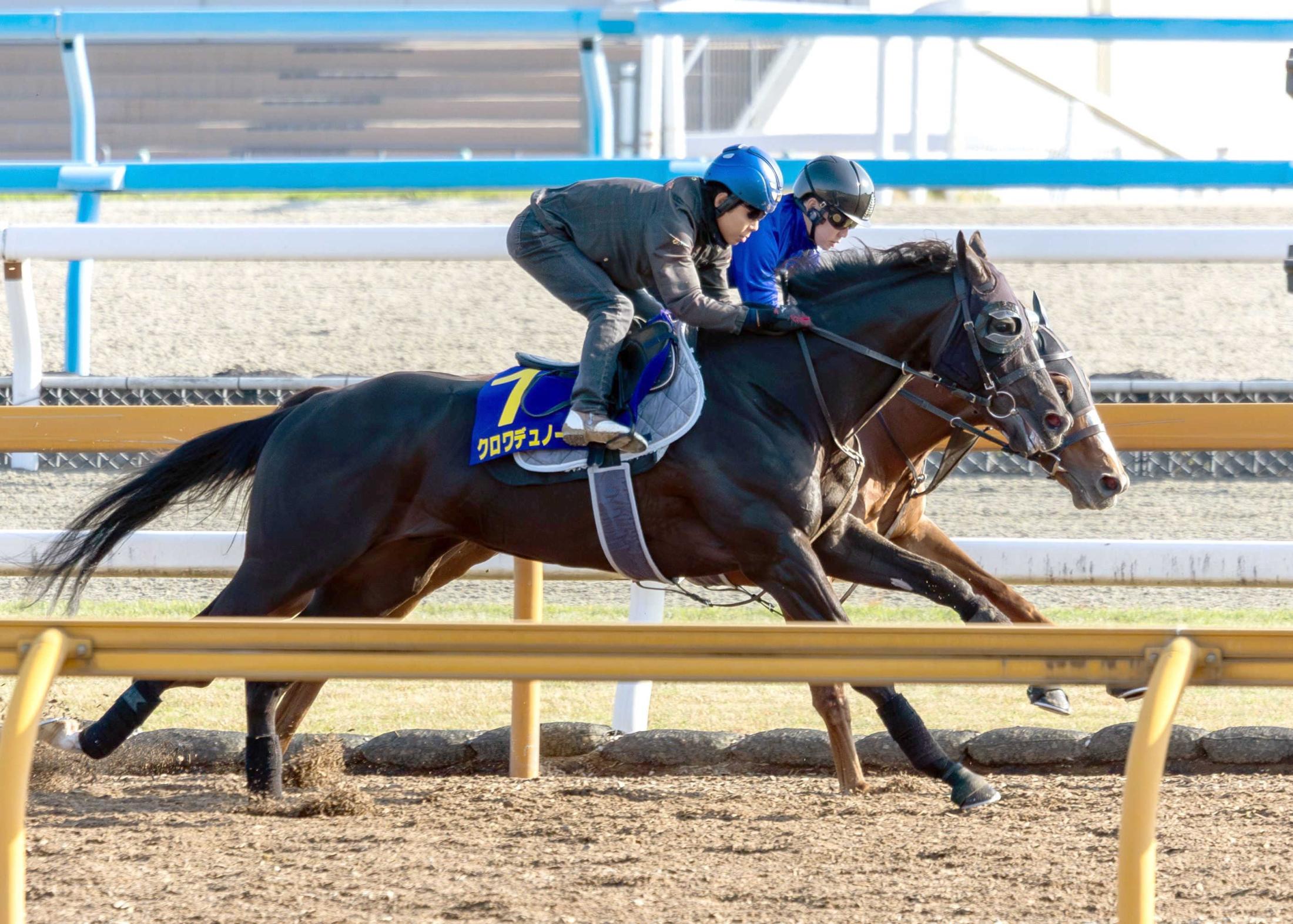 【皐月賞】クロワデュノール　無敗での１冠奪取へ視界良好　１週前に激変、抜群の動き見せ絶好調　北村友「負けたくない」