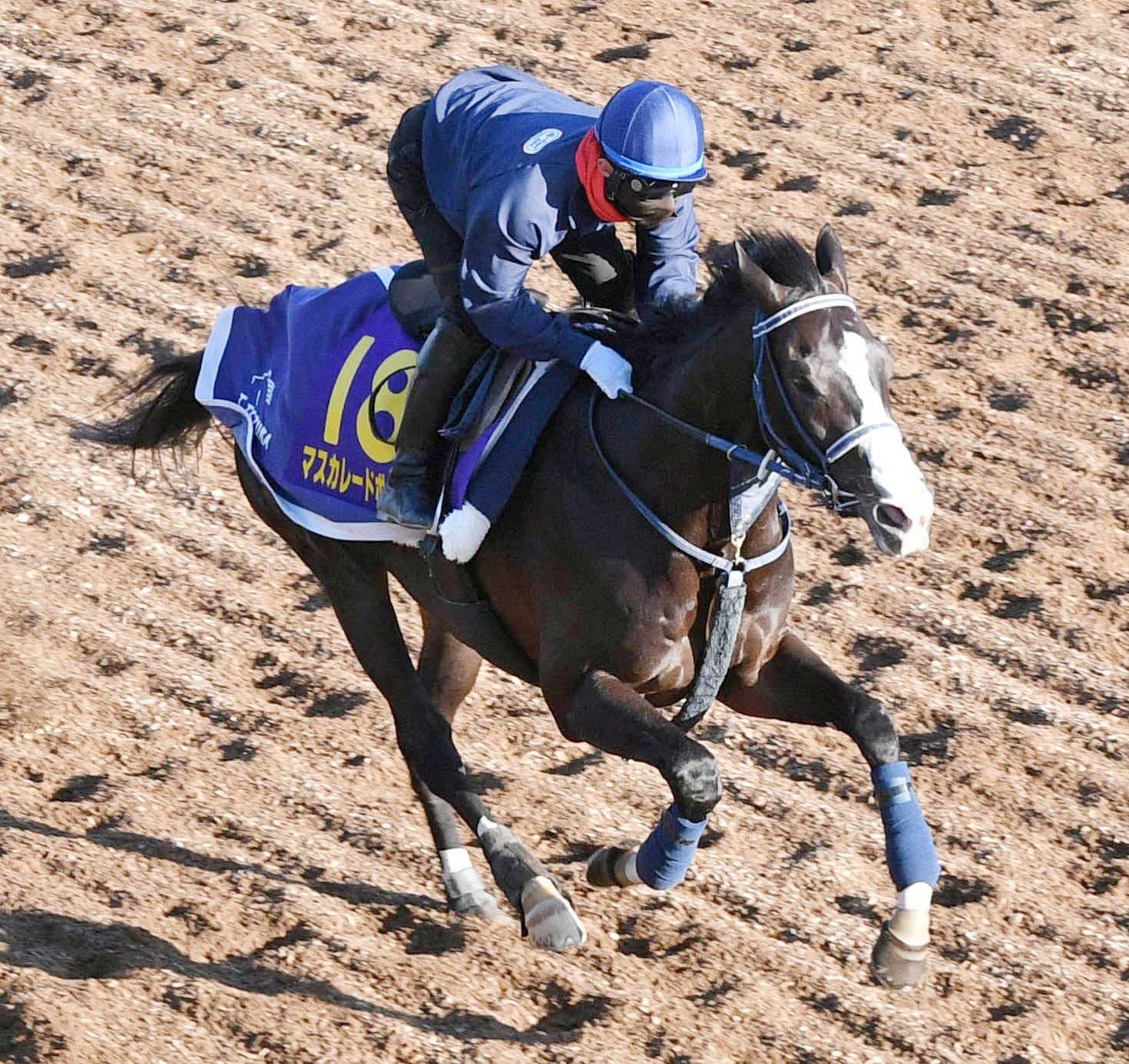 【皐月賞】マスカレードボール軽快走　３馬身半差つけ堂々最先着　横山武は２年前の再現Ｖを意識「相性はいいと思います」