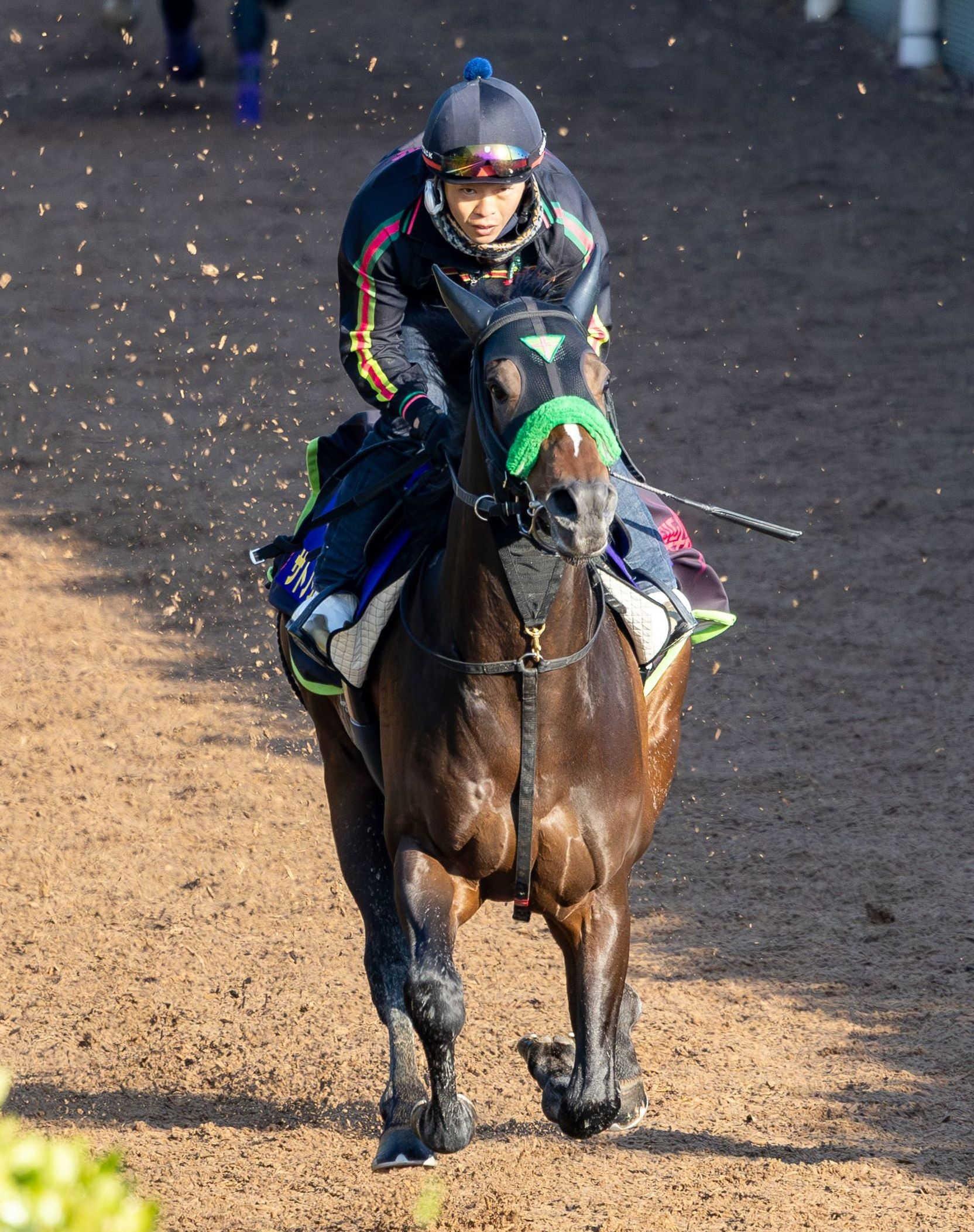 【皐月賞】サトノシャイニング　１冠目奪取へ自信　刻んだ加速ラップに杉山晴師合格点「非常にリラックスして走れていた」