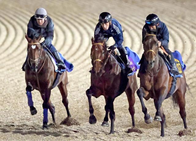タスティエーラが切れ味見せて最先着　堀厩舎の海外遠征馬が豪華3頭併せ　サトノレーヴ&ルクソールカフェも順調