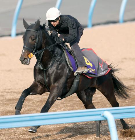 ピコチャンブラック（馬上は石橋脩騎手、カメラ・荒牧　徹）
