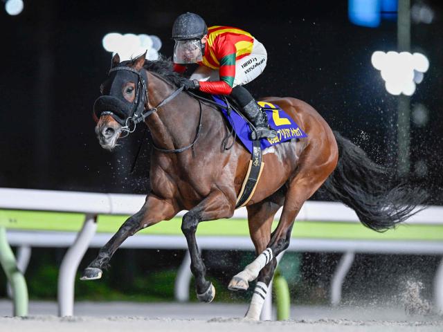 【大井・ブリリアントC結果】キングストンボーイが重賞3連勝！