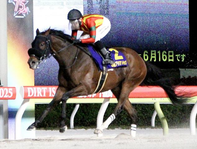 【大井競馬・ブリリアントC】キングストンボーイが重賞3連勝　吉原寛人騎手「しっかり伸びた。エンジンが違う」