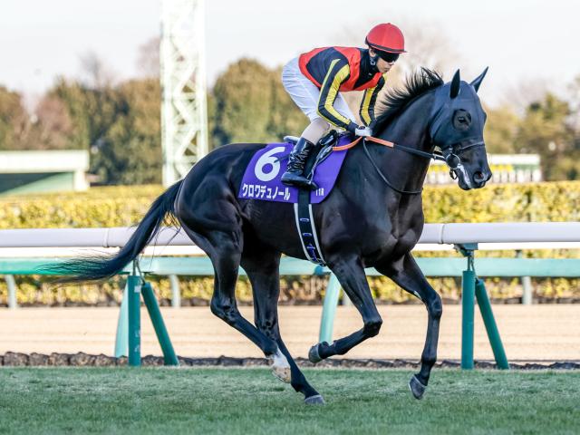 Yahoo!オークション - 菅原勲 騎手 直筆サイン入り 色紙