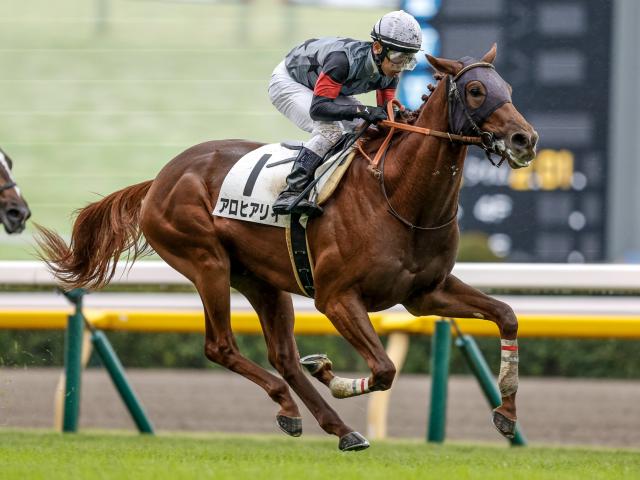 【週末情報】出撃態勢は万全！ アロヒアリイが皐月賞で怪物退治へ/馬三郎のつぶやき