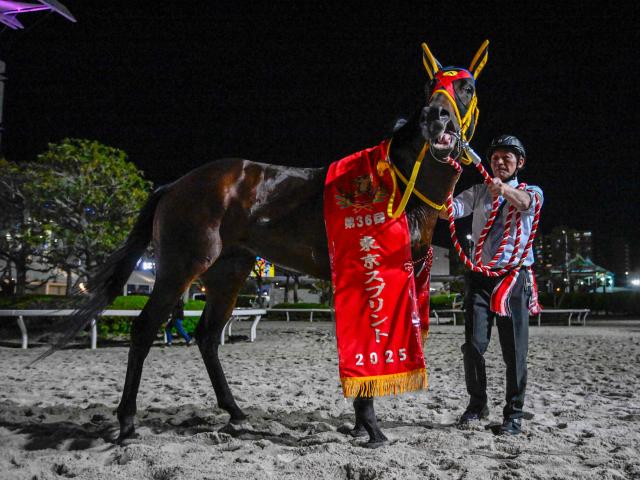  【有力馬動向】交流重賞中心のローテへ 東京スプリント快勝のエートラックスに注目/馬三郎のつぶやき