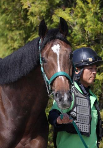 【皐月賞】(5)ジョバンニ　課題見つからず　陣営「オンオフがはっきりしていて扱いやすい」