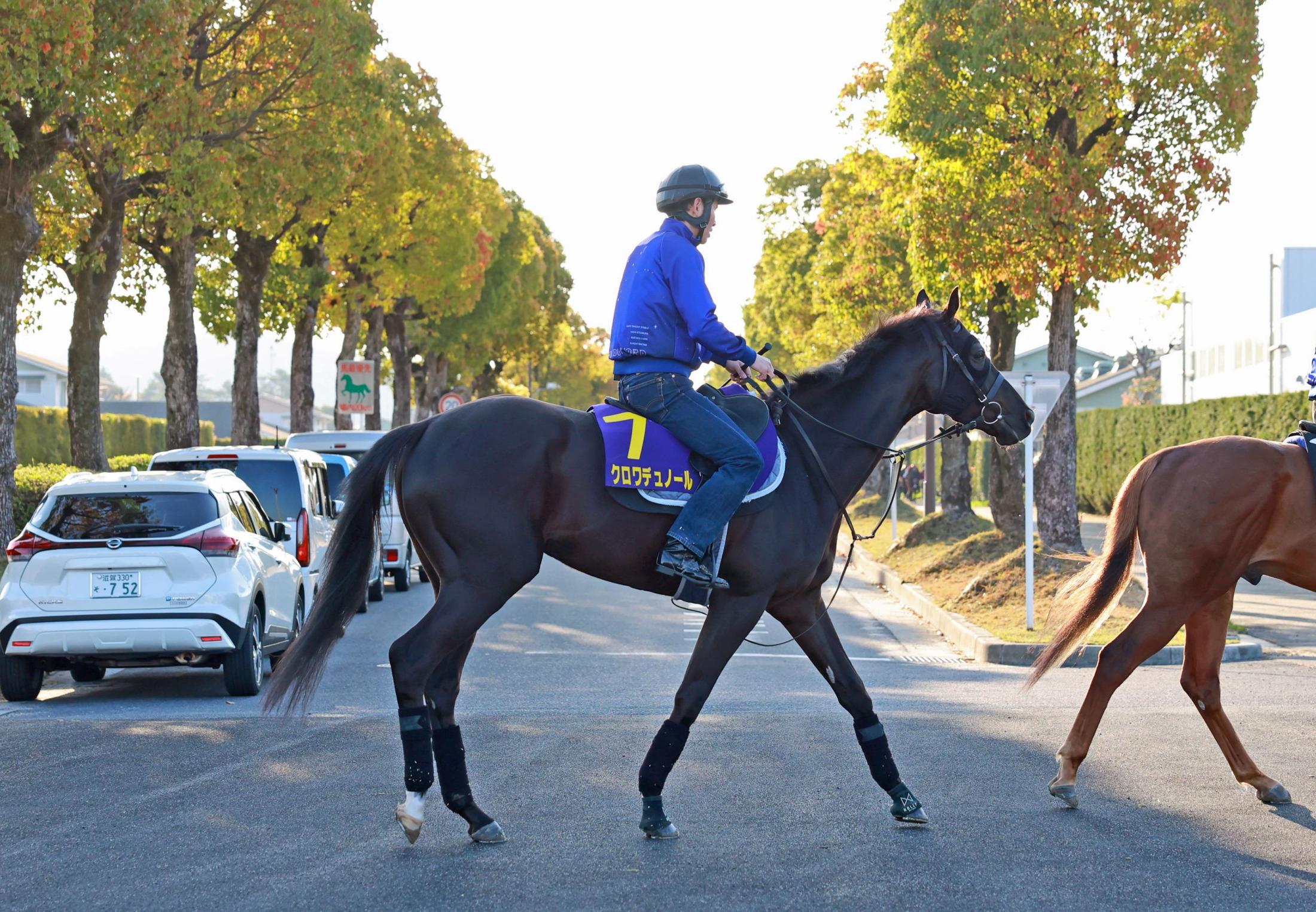 【皐月賞】クロワデュノール　馬体２キロ減も冷静　斉藤崇師「大丈夫だと思います」