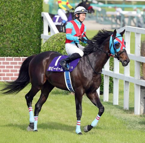 【中山GJ】エコロデュエル8馬身差でV　2着ネビーイームの小坂忠士騎手も「勝ち馬の手応えがすごすぎた」