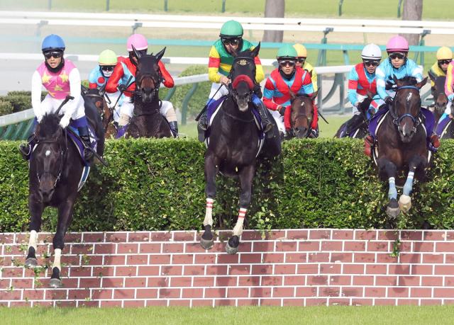 【中山GJ】エコロデュエルが8馬身差圧勝　デビュー19年目でJG1初制覇の草野太郎騎手「やっとマックスを出せた」