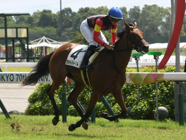 【福島牝馬S予想】前走中山牝馬S組が中心も取り扱いには要注意!? 傾向や展開面で苦戦が予想される人気馬とは