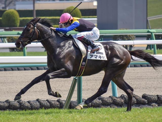 【青葉賞】GI馬の弟や仔が4頭出走 今年のメンバーは良血揃い
