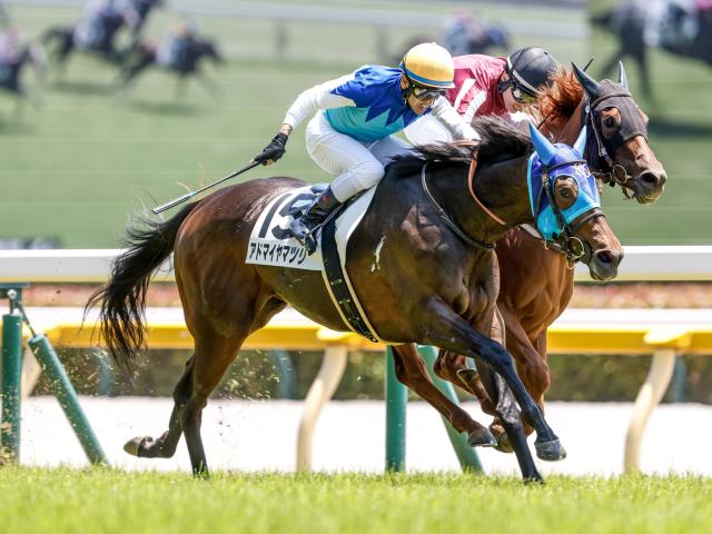 【福島牝馬S前日オッズ】アドマイヤマツリが3.5倍で1番人気