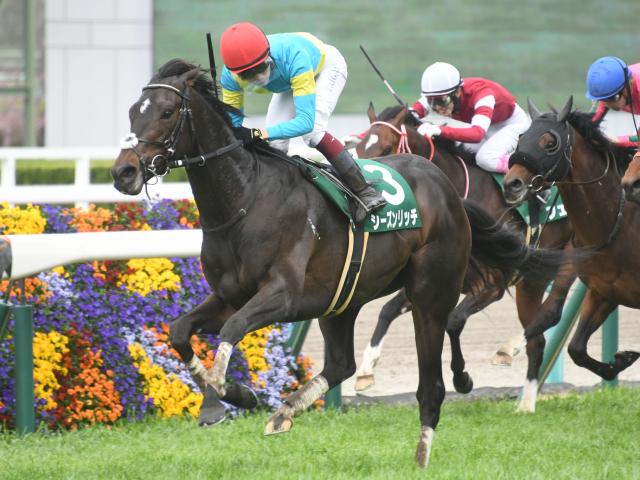 23年毎日杯を制したシーズンリッチが骨折 3か月以上の休養を要する見込み