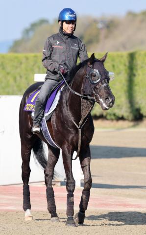 【皐月賞】前日1番人気はクロワデュノールの1・5倍　2番人気以降は10倍以上と圧倒的